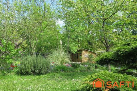 photo no. 11