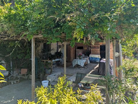 photo no. 10
