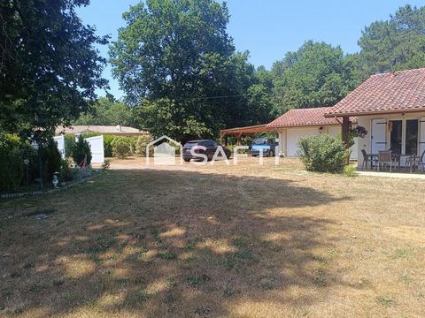 photo no. 15