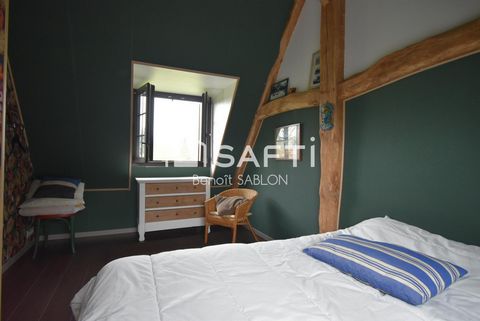 photo no. 5