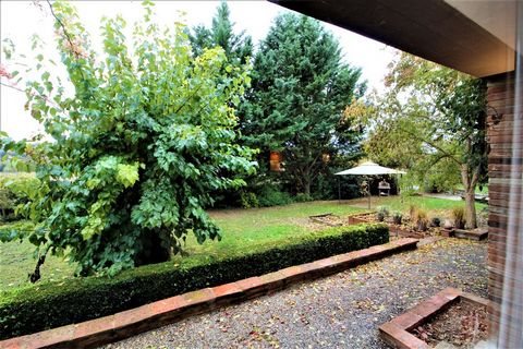 photo no. 2