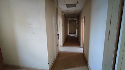 photo no. 19