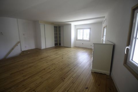 photo no. 6