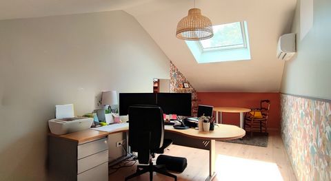 photo no. 10