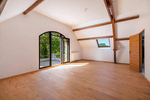 photo no. 13