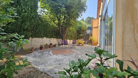 photo no. 11