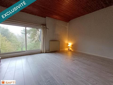 photo no. 13