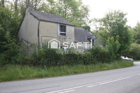 photo no. 5