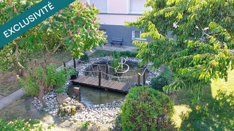 photo no. 18