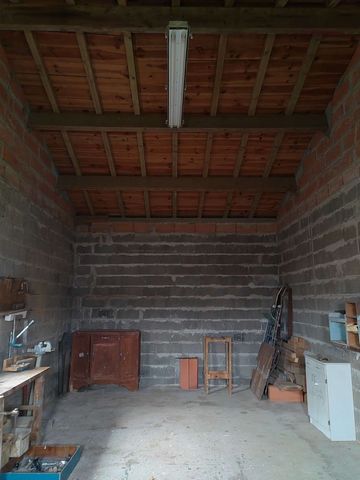 photo no. 2