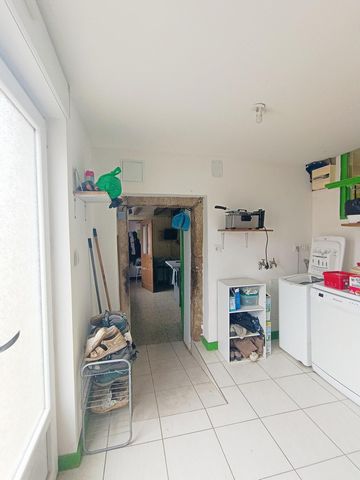 photo no. 13