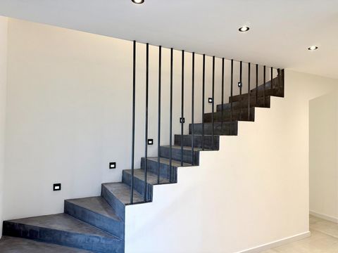 photo no. 11