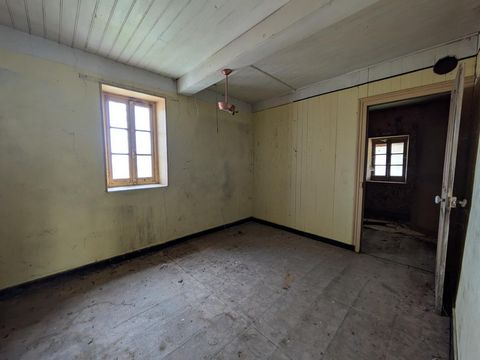 photo no. 4