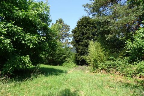photo no. 11