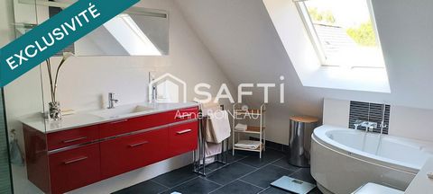 photo no. 12