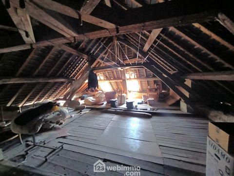 photo no. 12