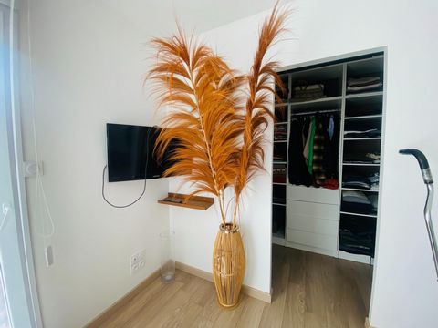 photo no. 16