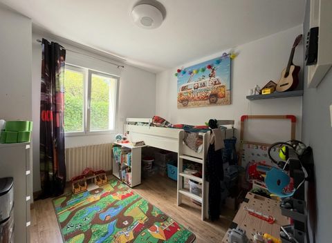 photo no. 12