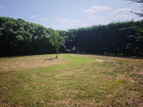 photo no. 8