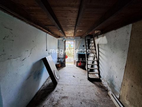 photo no. 5