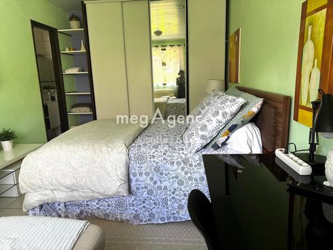 photo no. 10