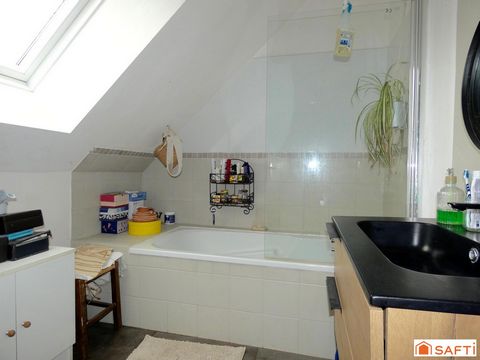 photo no. 12