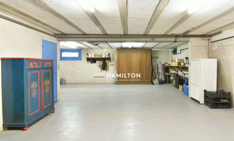 photo no. 15