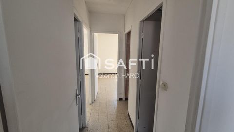 photo no. 6