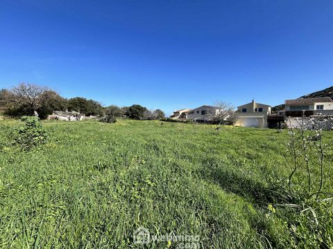 Terrain à bâtir - 1040m² - Santa-Reparata-di-Balagna