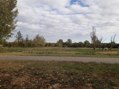 photo no. 21