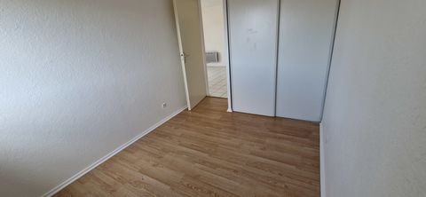 photo no. 8