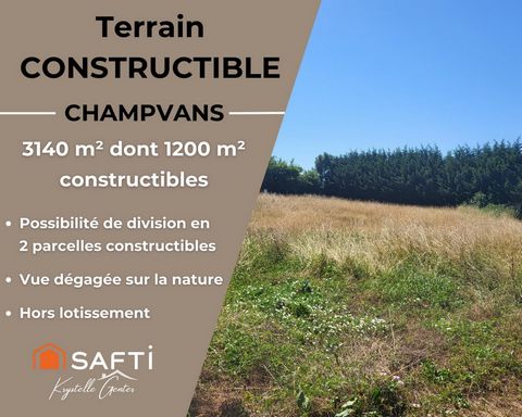 A Champvans grand terrain en partie constructible!