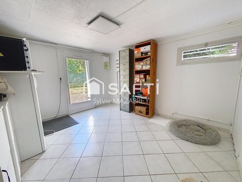photo no. 13