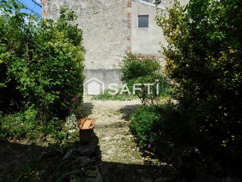 photo no. 6
