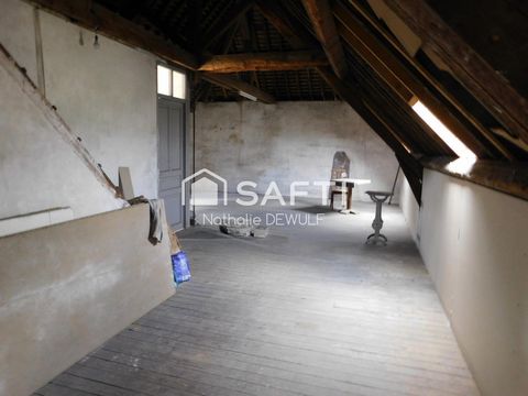 photo no. 19