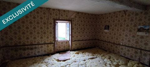 photo no. 11