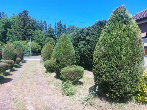 photo no. 1