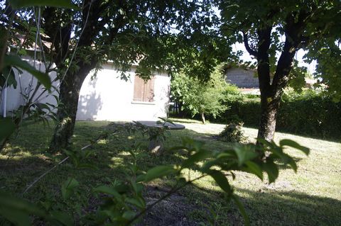 photo no. 1