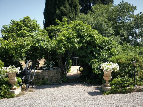 photo no. 7