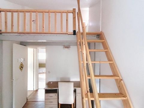 photo no. 9