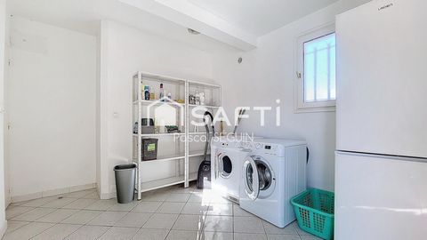 photo no. 9