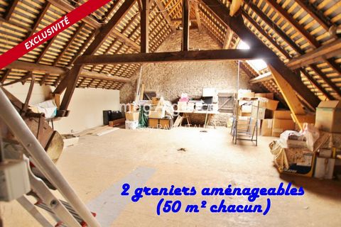 photo no. 11