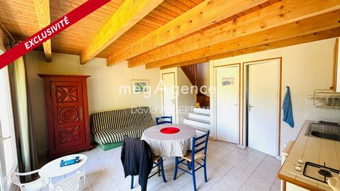 photo no. 13