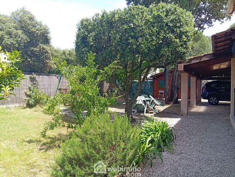 photo no. 14