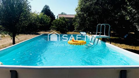 photo no. 11