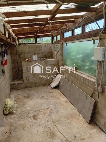 photo no. 6