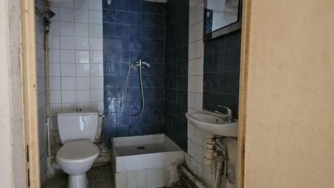 photo no. 5