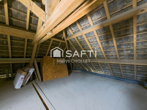 photo no. 12