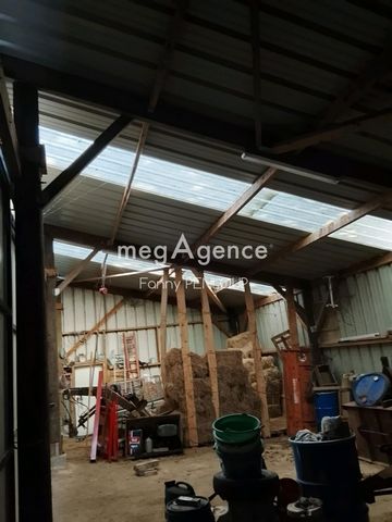 photo no. 12