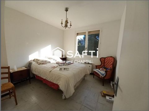 photo no. 11